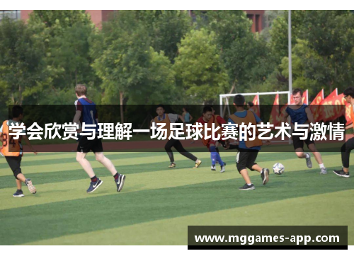 学会欣赏与理解一场足球比赛的艺术与激情