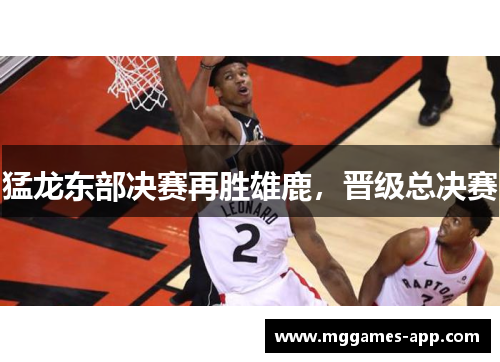 猛龙东部决赛再胜雄鹿，晋级总决赛